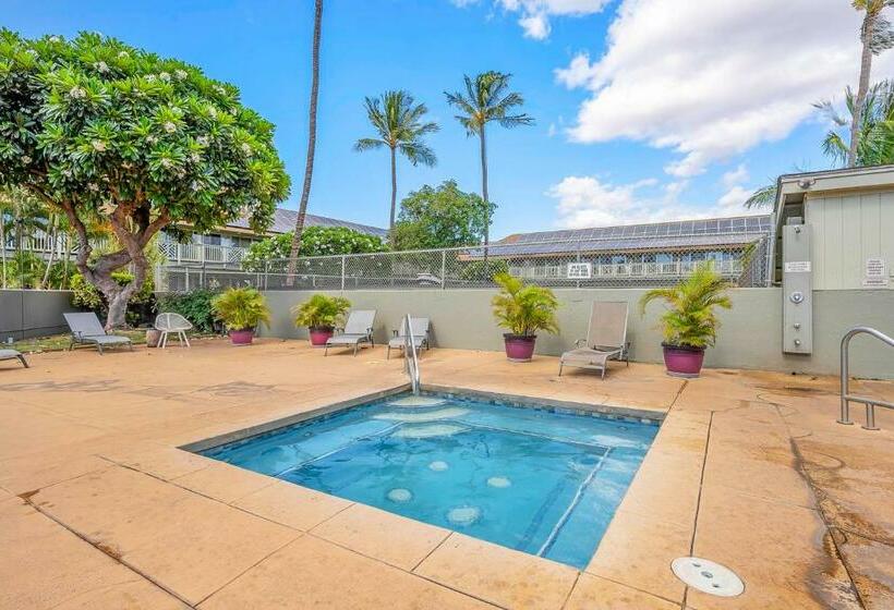 استودیوی استاندارد, Kihei Bay Surf 236