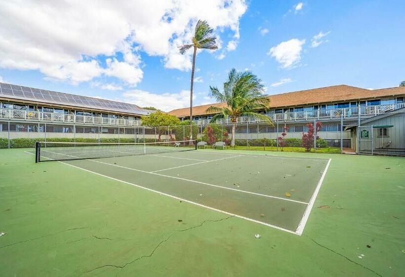 استودیوی استاندارد, Kihei Bay Surf 236