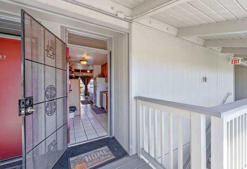 스탠다드 스튜디오, Kihei Bay Surf 236