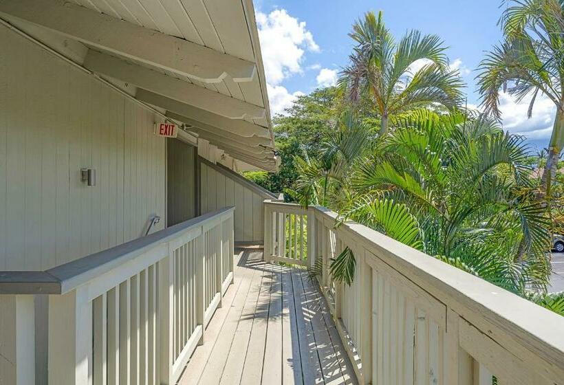 스탠다드 스튜디오, Kihei Bay Surf 236