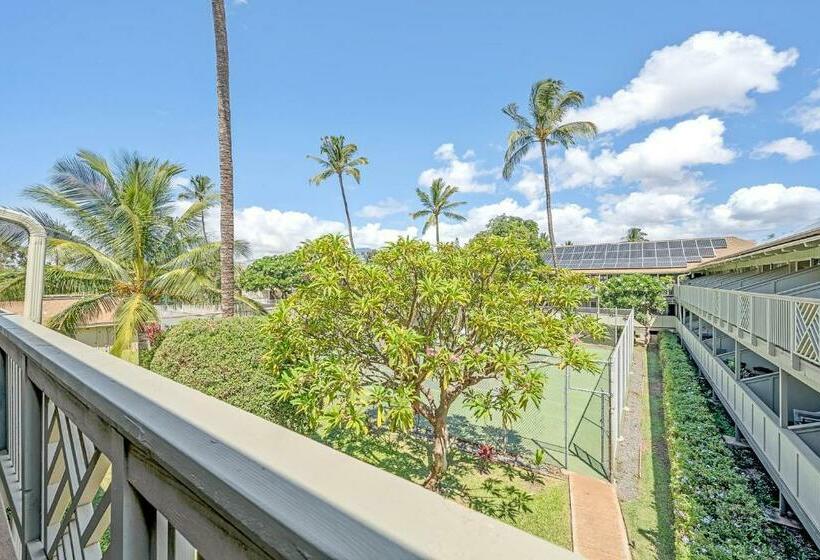 스탠다드 스튜디오, Kihei Bay Surf 236