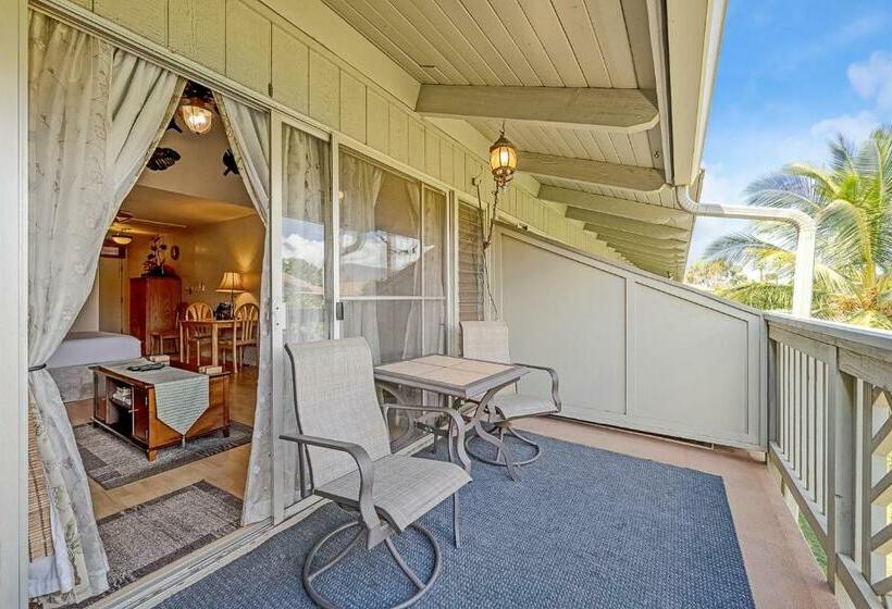 استودیوی استاندارد, Kihei Bay Surf 236