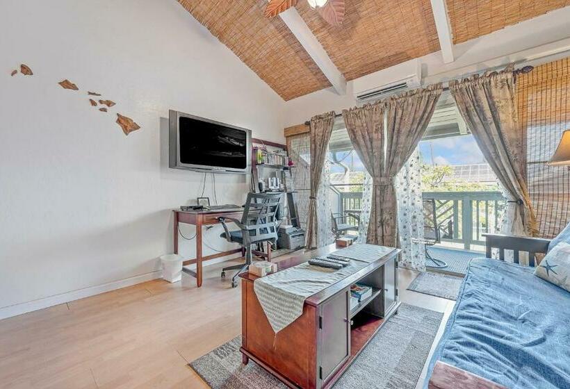 스탠다드 스튜디오, Kihei Bay Surf 236