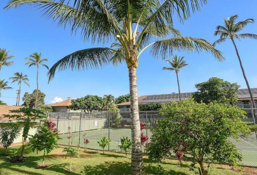 استودیوی استاندارد, Kihei Bay Surf 236
