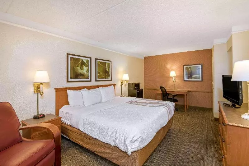 اتاق لوکس با تخت بزرگ, La Quinta Inn By Wyndham San Antonio Market Square