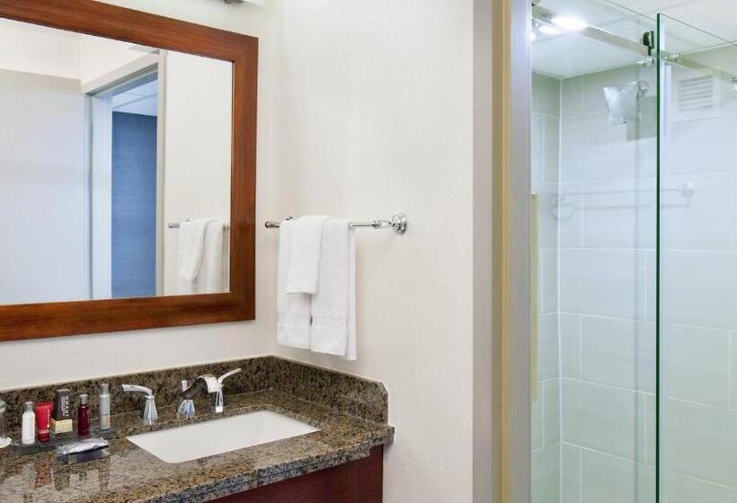 キングサイズベッドのスタンダードルーム, Marriott Park Ridge