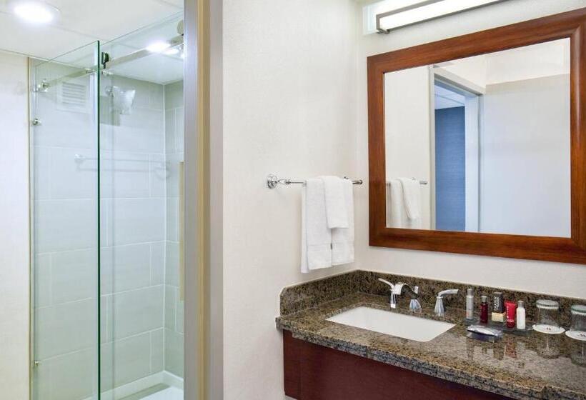 スタンダードルーム, Marriott Park Ridge