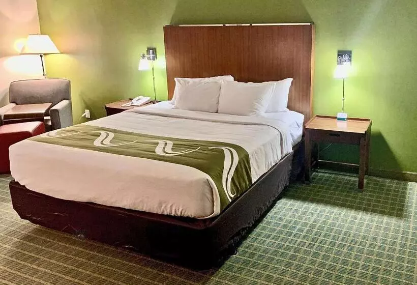 キングサイズベッドのスタンダードルーム, Quality Inn Lexington Horse Park
