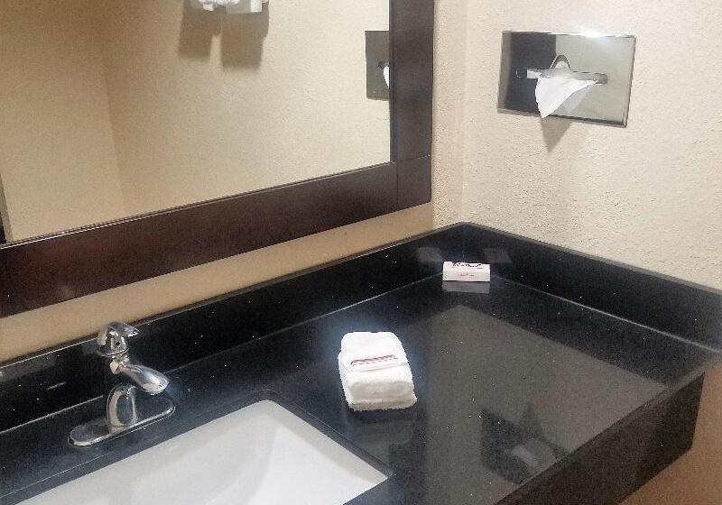 高级大房间, Red Roof Inn & Suites Houston  Hobby Airport