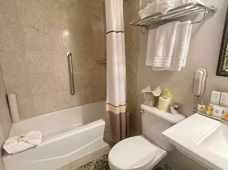 اتاق استاندارد با تخت بزرگ, The Mission Inn Hotel And Spa