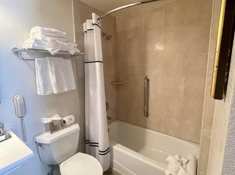 اتاق استاندارد با تخت بزرگ, The Mission Inn Hotel And Spa