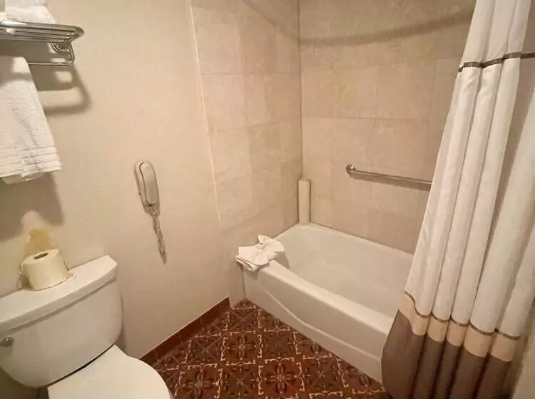 اتاق استاندارد با تخت بزرگ, The Mission Inn Hotel And Spa