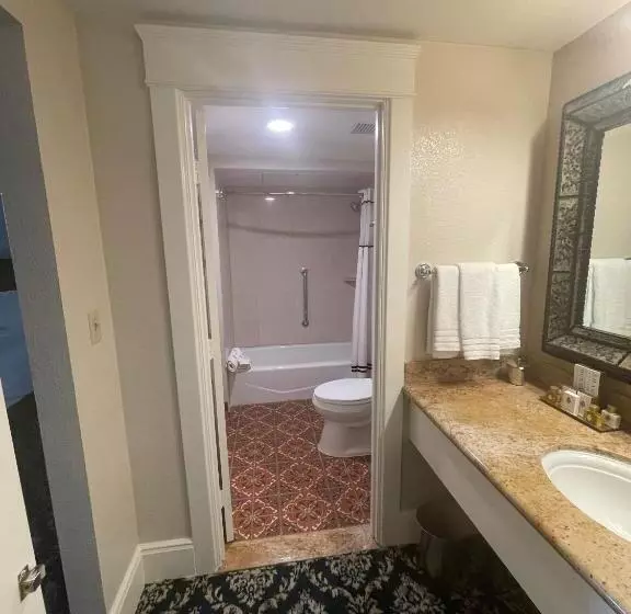 اتاق استاندارد با تخت بزرگ برای معلولان, The Mission Inn Hotel And Spa