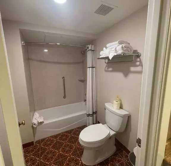 اتاق استاندارد با تخت بزرگ برای معلولان, The Mission Inn Hotel And Spa