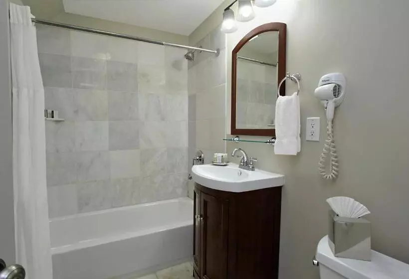 اتاق لوکس, Lamothe House Hotel A French Quarter Guest Houses Property