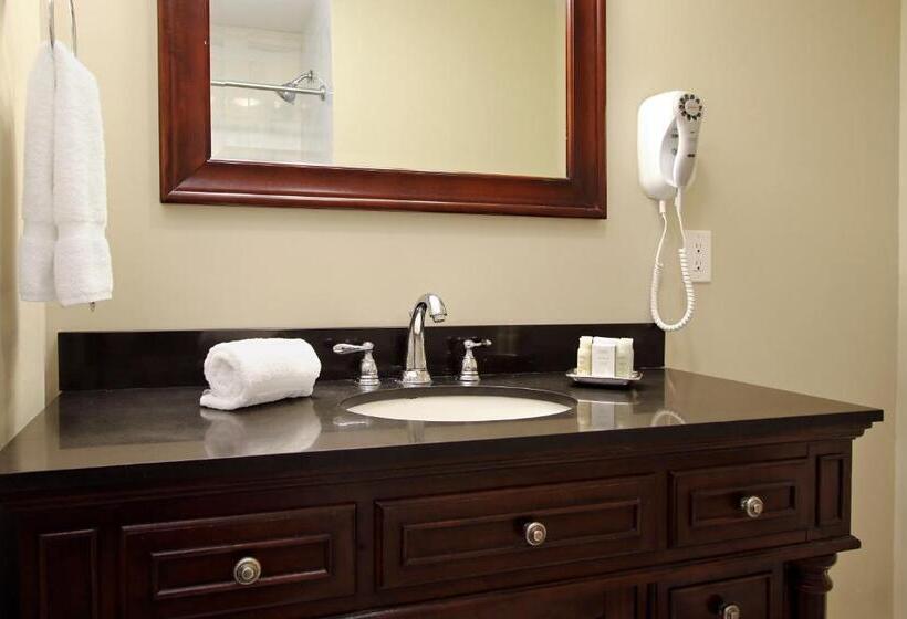 سوییت لوکس, Lamothe House Hotel A French Quarter Guest Houses Property