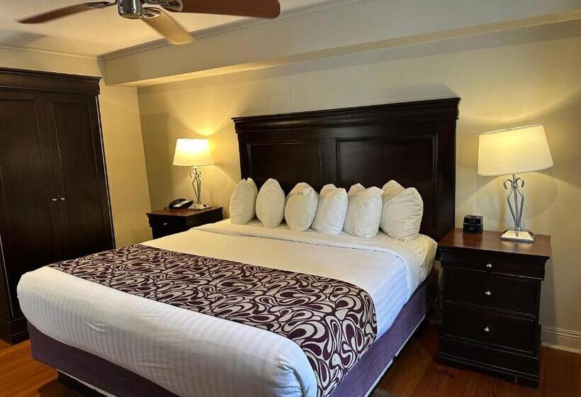 اتاق لوکس با تخت بزرگ, Lamothe House Hotel A French Quarter Guest Houses Property
