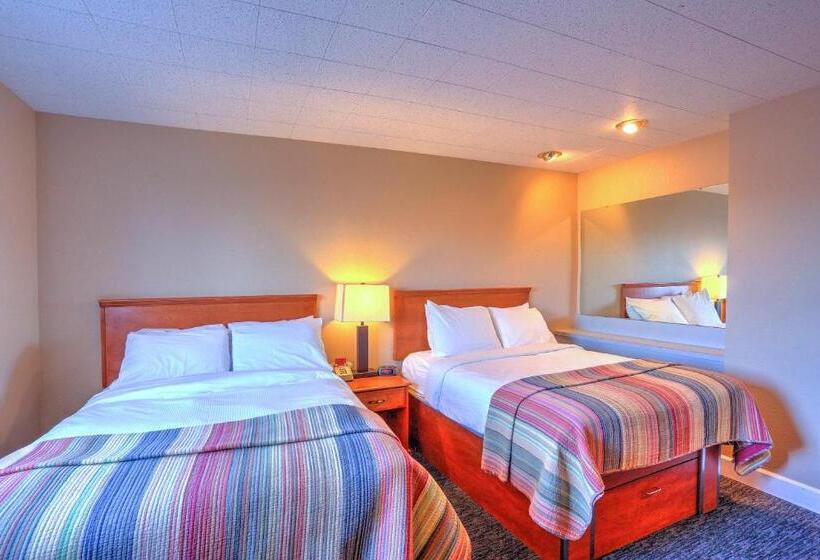 غرفه قياسيه سريرين مزدوجين, Land S End