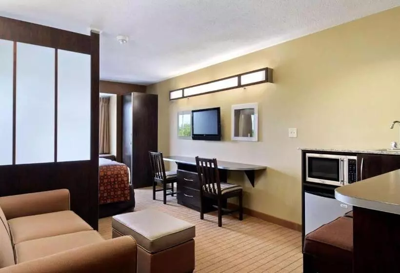 スタンダードスタジオ, Microtel Inn & Suites By Wyndham Marietta