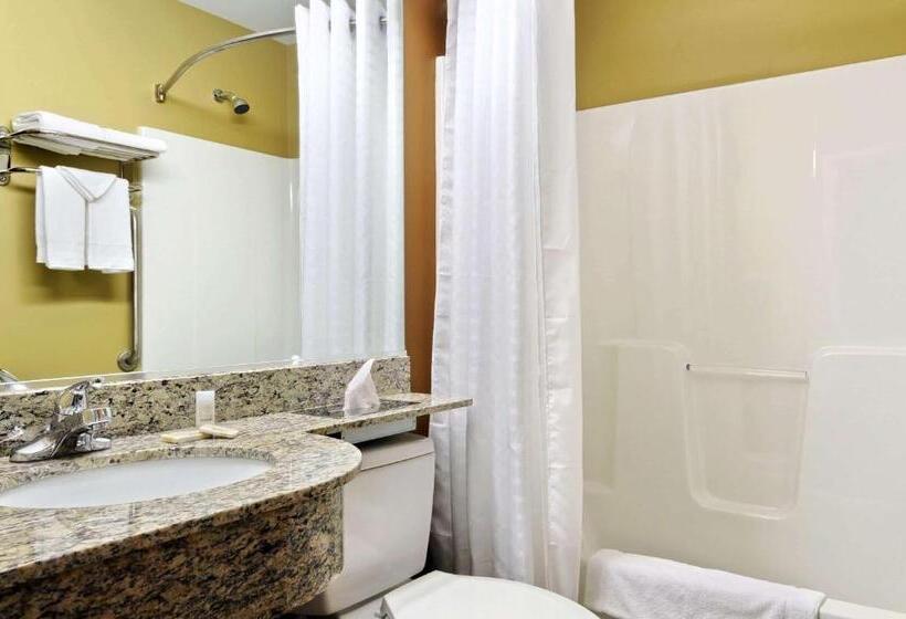 Студия Стандарт, Microtel Inn & Suites By Wyndham Marietta