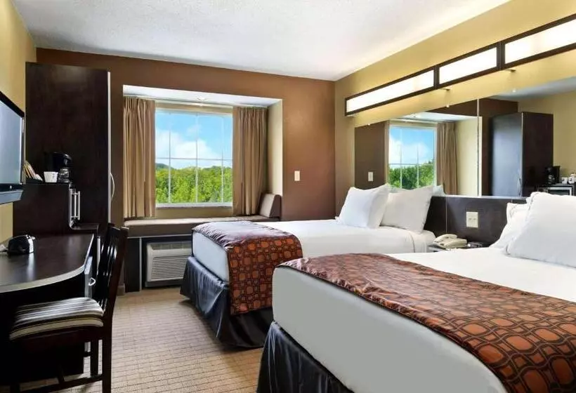 身障者適用スタンダードルーム, Microtel Inn & Suites By Wyndham Marietta