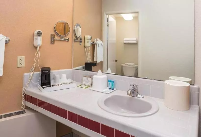 اتاق استاندارد با تخت بزرگ, Laurel Inn & Conference Center