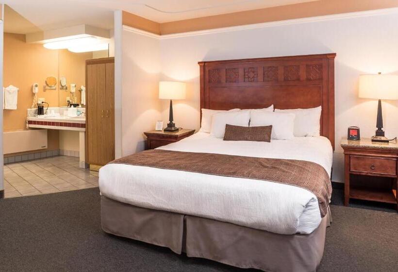 스탠다드 룸 킹사이즈 침대, Laurel Inn & Conference Center