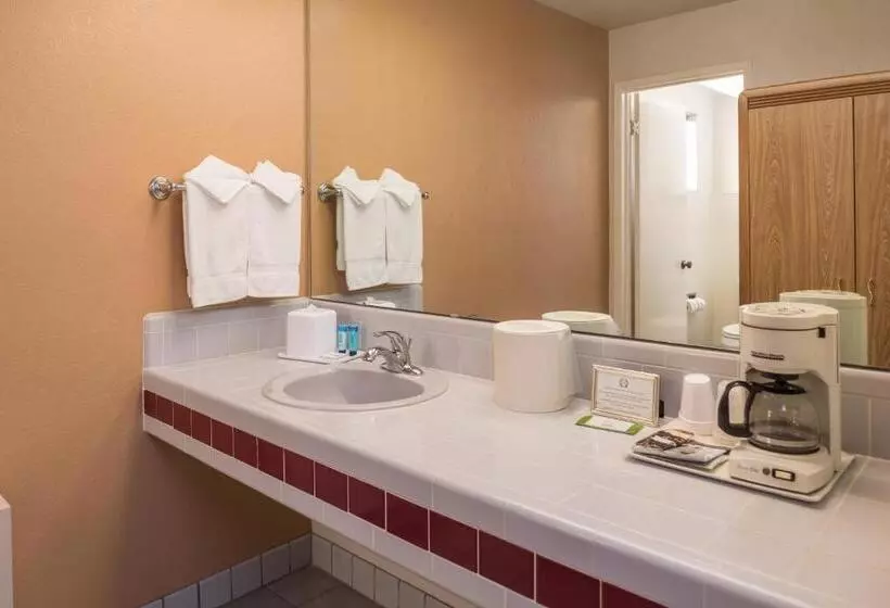 اتاق استاندارد با تخت بزرگ, Laurel Inn & Conference Center