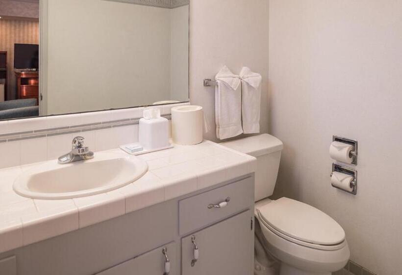 Стандартный Номер Кровать Кинг, Laurel Inn & Conference Center