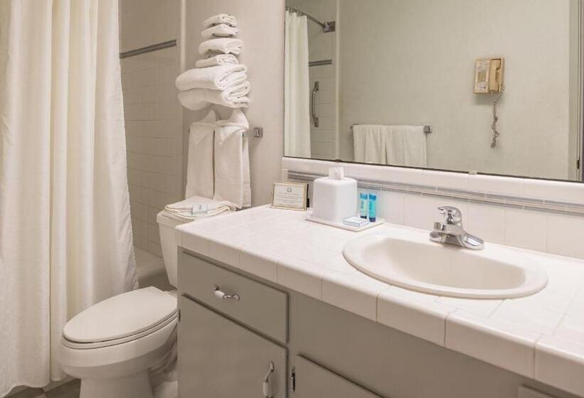 Стандартный Номер Кровать Кинг, Laurel Inn & Conference Center