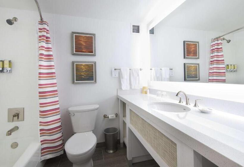 スタンダードルーム, Sonesta Resort  Hilton Head Island