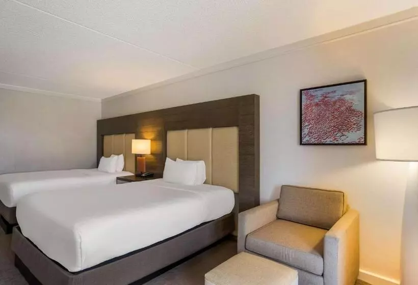 اتاق استاندارد, Sonesta Resort Hilton Head Island