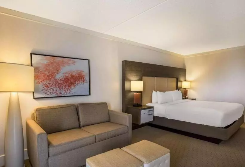اتاق استاندارد با تخت بزرگ, Sonesta Resort Hilton Head Island