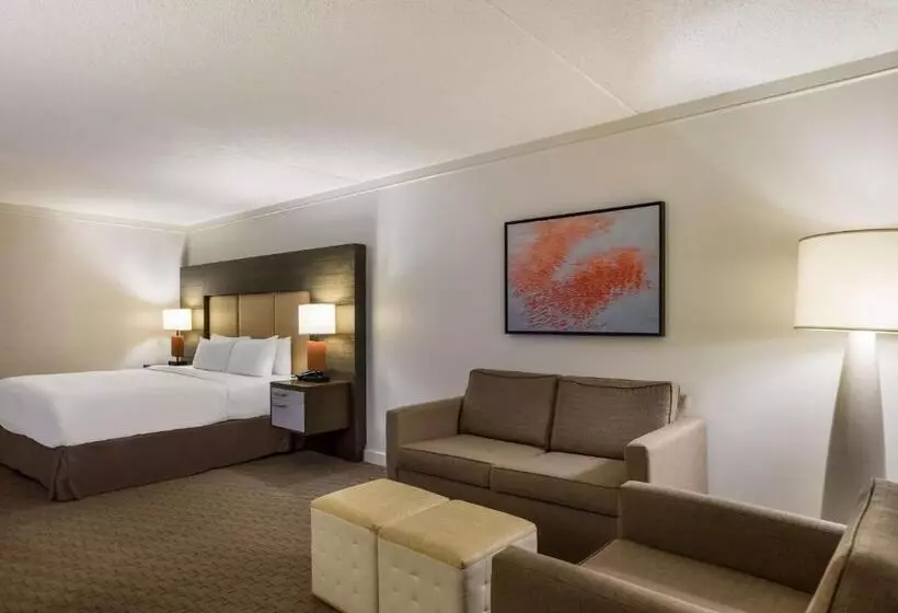 اتاق اجرایی با تخت بزرگ, Sonesta Resort Hilton Head Island