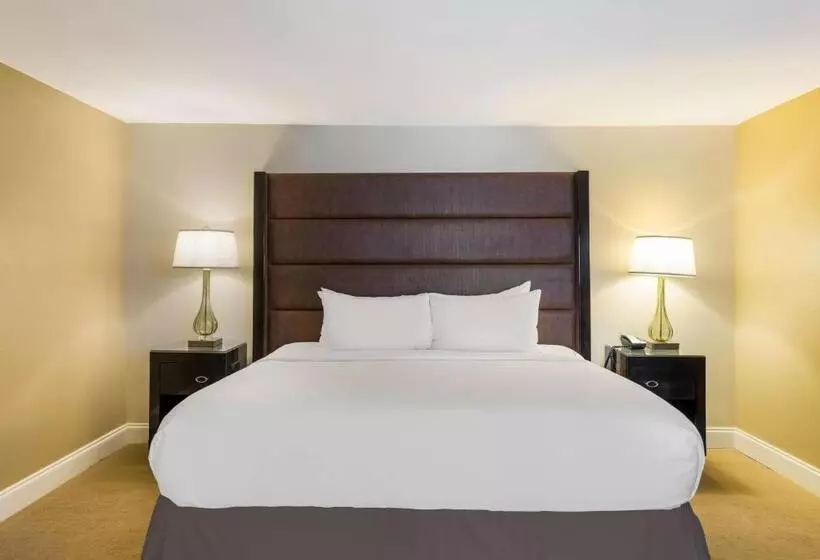 اتاق اجرایی با تخت بزرگ, Sonesta Resort Hilton Head Island
