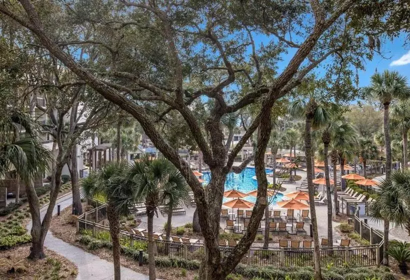 اتاق اجرایی با تخت بزرگ, Sonesta Resort Hilton Head Island