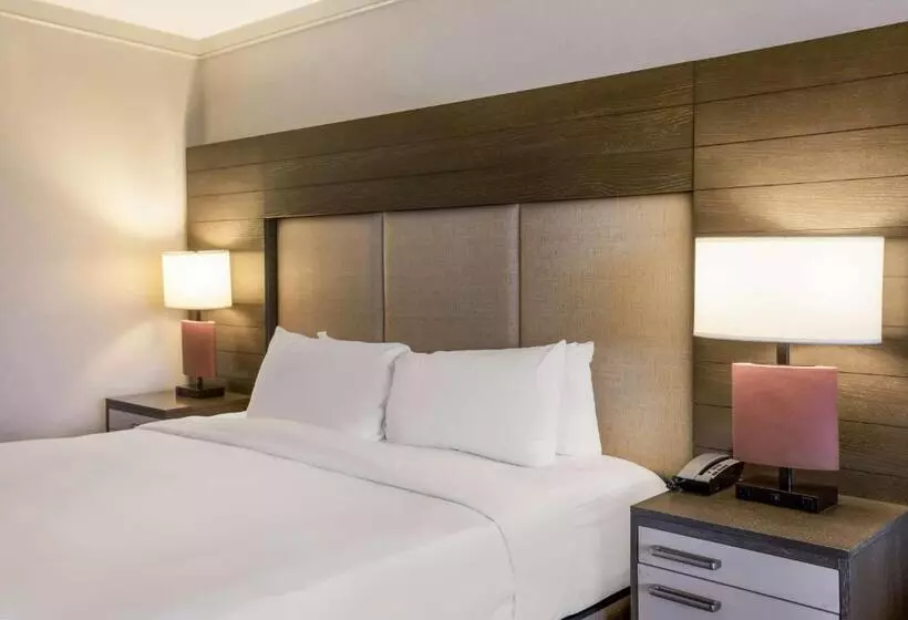 اتاق لوکس, Sonesta Resort Hilton Head Island