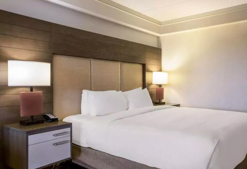 اتاق استاندارد, Sonesta Resort Hilton Head Island