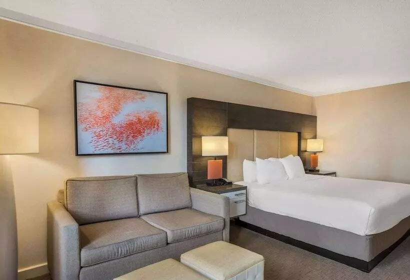اتاق لوکس, Sonesta Resort Hilton Head Island