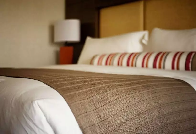 سوییت, Sonesta Resort Hilton Head Island