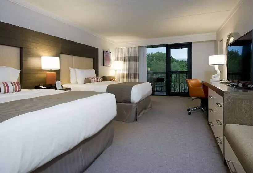 Deluxe-huone Soveltuu Liikuntarajoitteisille, Sonesta Resort  Hilton Head Island