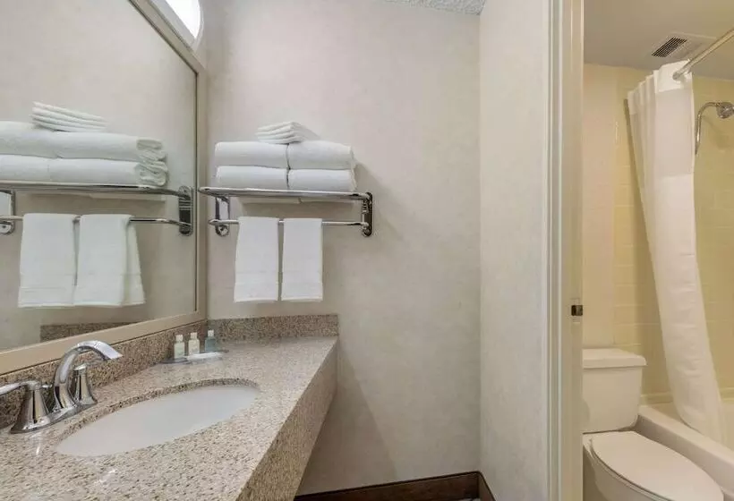 اتاق استاندارد با 2 تخت دوبل, Clarion Hotel Anaheim Resort