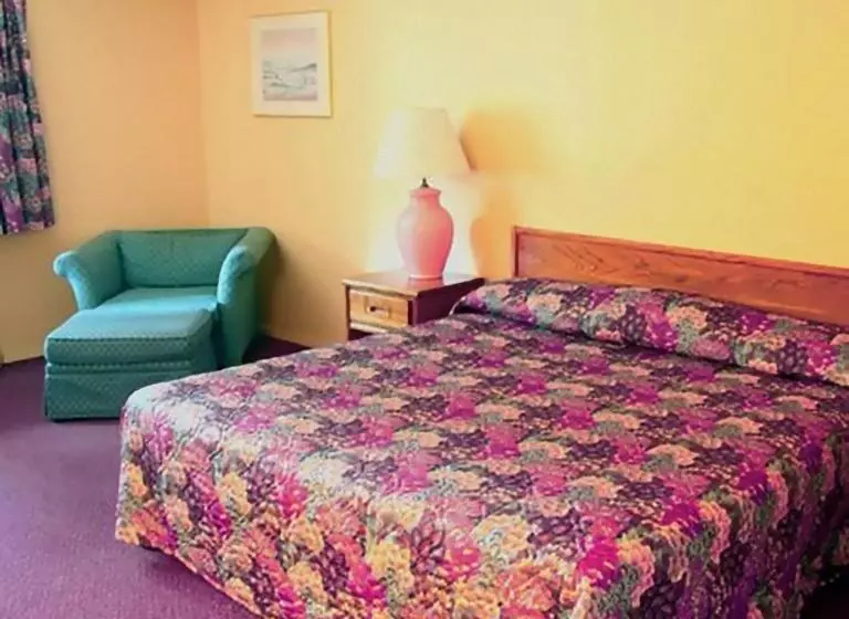 キングサイズベッドのスタンダードルーム, Americas Inn