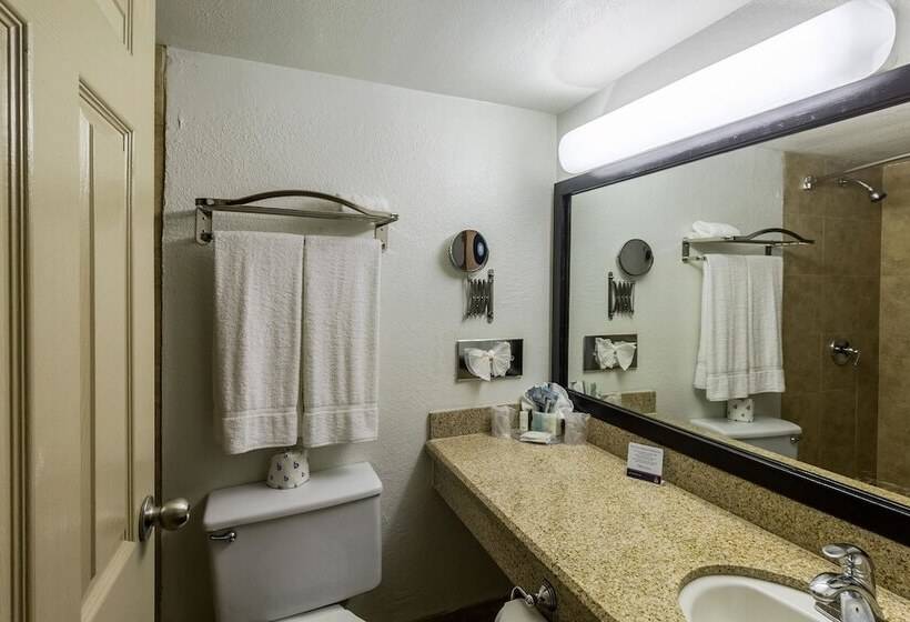 Standard Værelse 2 Dobbeltsenge, Clarion Inn Near Mcallen Airport