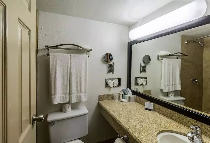 اتاق استاندارد با 2 تخت دوبل, Clarion Inn Near Mcallen Airport