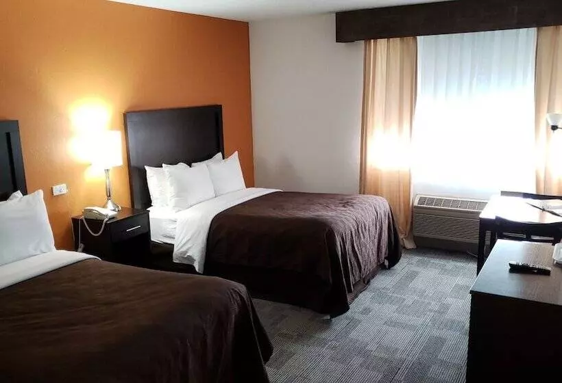 اتاق استاندارد با 2 تخت دوبل, Clarion Inn Near Mcallen Airport