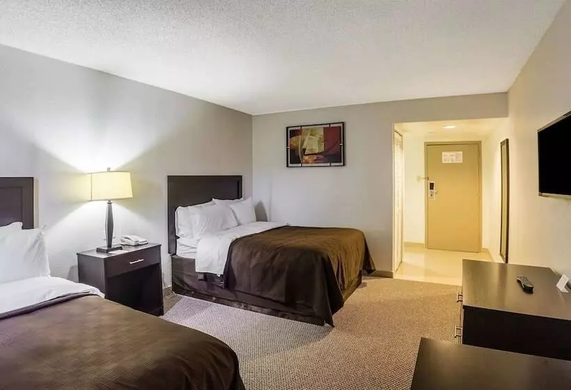 اتاق استاندارد با 2 تخت دوبل, Clarion Inn Near Mcallen Airport
