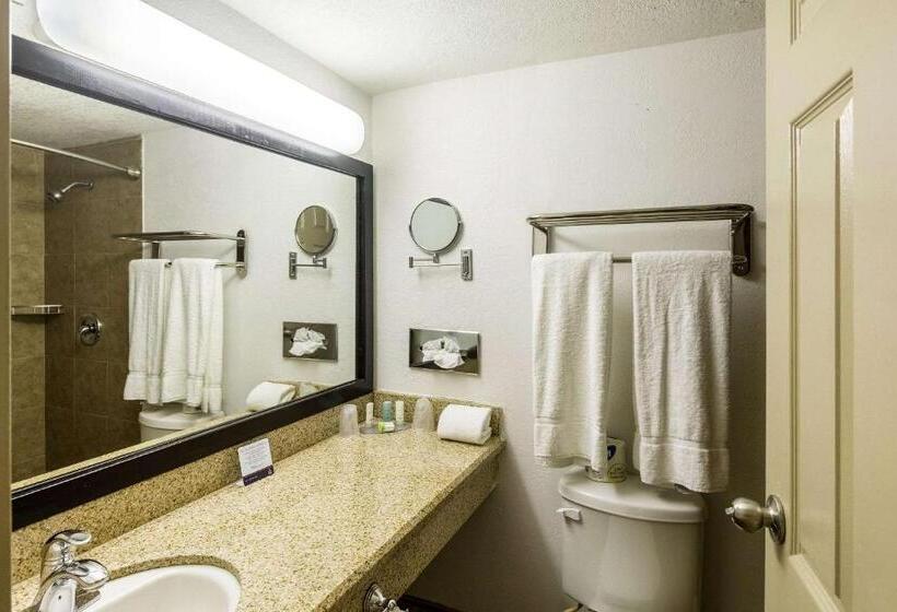 غرفة قياسية سرير كينج, Clarion Inn Near Mcallen Airport