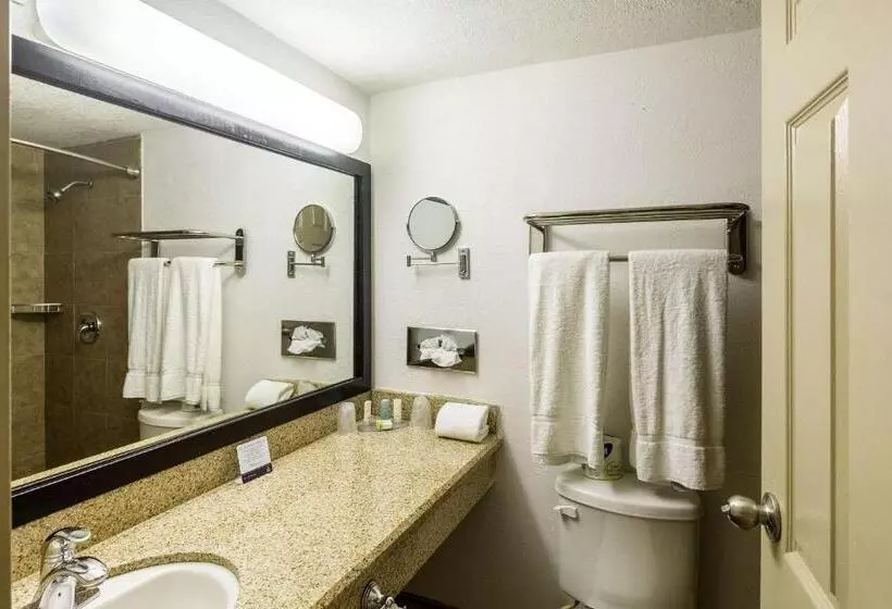 اتاق استاندارد با تخت بزرگ, Clarion Inn Near Mcallen Airport