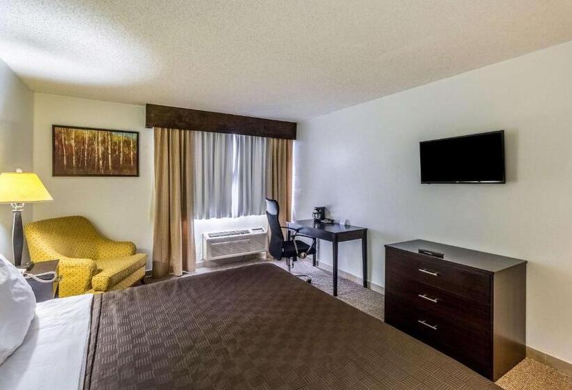 キングサイズベッドのスタンダードルーム, Clarion Inn Near Mcallen Airport